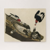 赤毛のアカゲザル – Audubon's Birds of America ジグソーパズル (横)