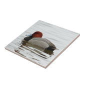 赤毛のアヒルドレーク-静かな冬の朝 タイル (側面)