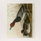 赤毛のアヒル – Audubon's Birds of America ジグソーパズル (縦)
