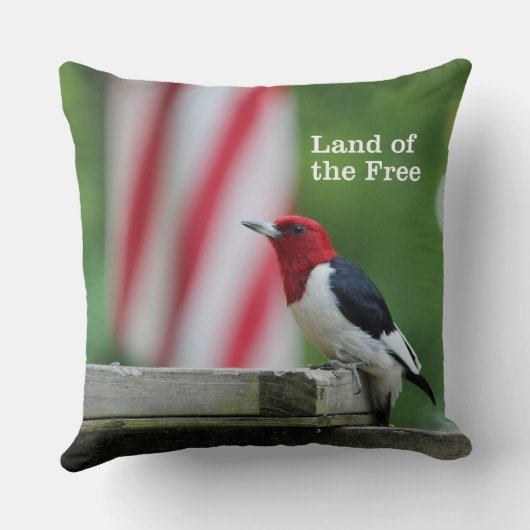 赤毛のキツツキ2 クッション (裏面)