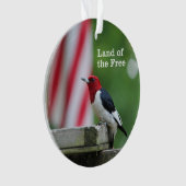 赤毛のキツツキ オーナメント (正面)
