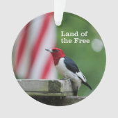 赤毛のキツツキ オーナメント (正面)