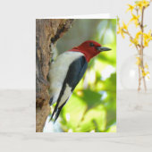 赤毛のキツツキ カード (黄色い花)