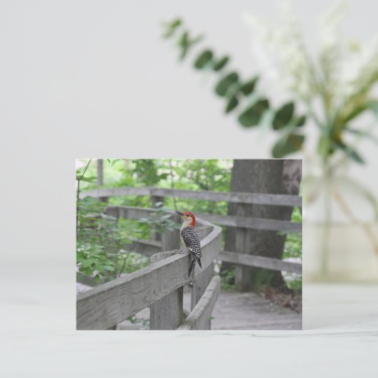 赤毛のキツネザルのはがき ポストカード (スタンド正面)