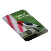 赤毛のキツネザル2 マグネット (右側)