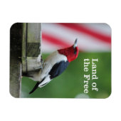 赤毛のキツネザル2 マグネット (横)