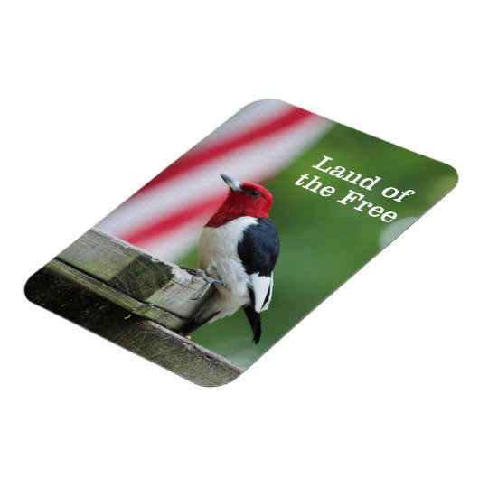 赤毛のキツネザル2 マグネット (左側)