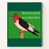 赤毛のキツネザル ノートブック (裏面)