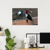 赤毛のキツネザル ポスター (ホームオフィス)