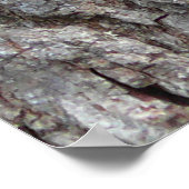 赤毛のキツネザル ポスター (角)