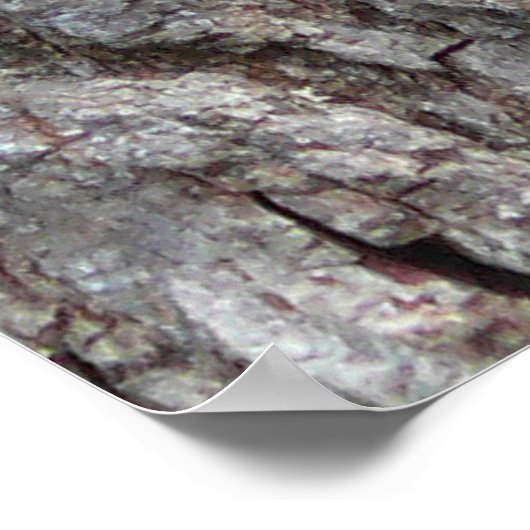 赤毛のキツネザル ポスター (角)