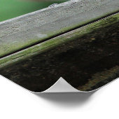 赤毛のキツネザル ポスター (角)