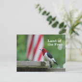 赤毛のキツネザル ポストカード (スタンド正面)