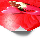 赤毛のハート尾人魚 フォトプリント            (角)