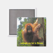 赤毛の方が機嫌が好い マグネット (正面/裏面)