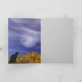 赤毛の魔女 カード (内部)