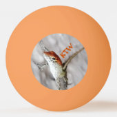 赤毛アノールリザードレッドヘッズのおもしろいPingの数が多い 卓球ボール (正面)