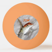 赤毛アノールリザードレッドヘッズのおもしろいPingの数が多い 卓球ボール (裏面)