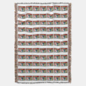 赤毛コニーアイランドマーメイド スローブランケット (正面縦)