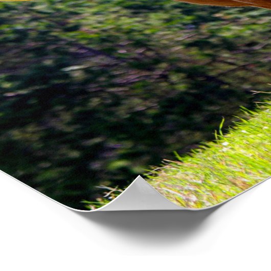 赤毛テキサス州Longhorn ポスター (角)