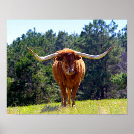 赤毛テキサス州Longhorn ポスター