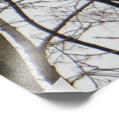 赤毛頭のキツツキ フォトプリント (角)