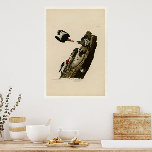 赤毛頭のキツツキ ポスター (キッチン)