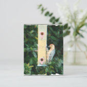 赤毛頭のキツツキ ポストカード (スタンド正面)