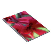 赤水色ゲラニウム ノートブック (右側)