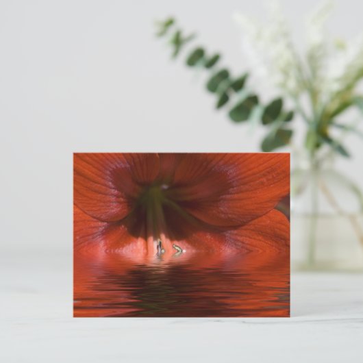 赤液 ポストカード (スタンド正面)