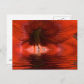 赤液 ポストカード (正面/裏面)