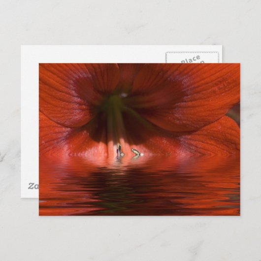 赤液 ポストカード (正面/裏面)