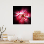 赤澄ん花びら ポスター (キッチン)