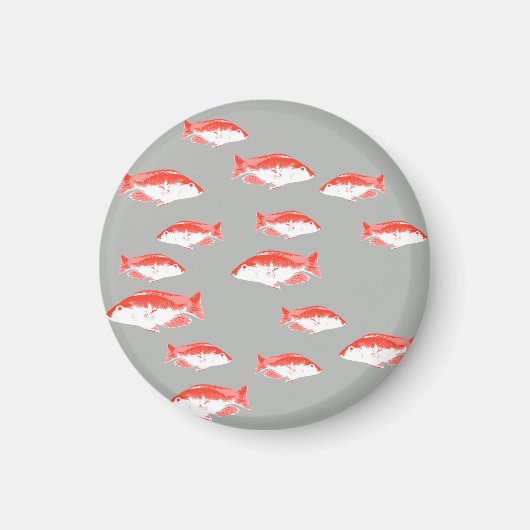 赤灰色の魚 マグネット (正面)