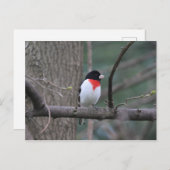 赤焼きグロッサクのはがき ポストカード (正面/裏面)