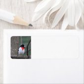 赤焼きグロッサク住所 シール (インサイチュ)