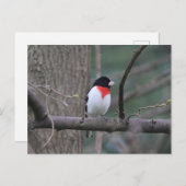 赤焼きグロッサク ポストカード (正面/裏面)