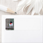 赤焼きグロッサク ラベル (インサイチュ)