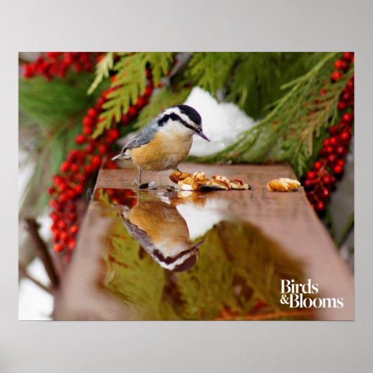 赤焼きヌサッチ ポスター (正面)