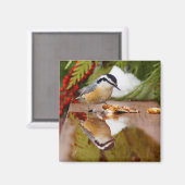 赤焼きヌサッチ マグネット (正面/裏面)