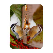 赤焼きヌサッチ マグネット (縦)