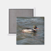 赤焼きメルガンザー磁石 マグネット (正面/裏面)