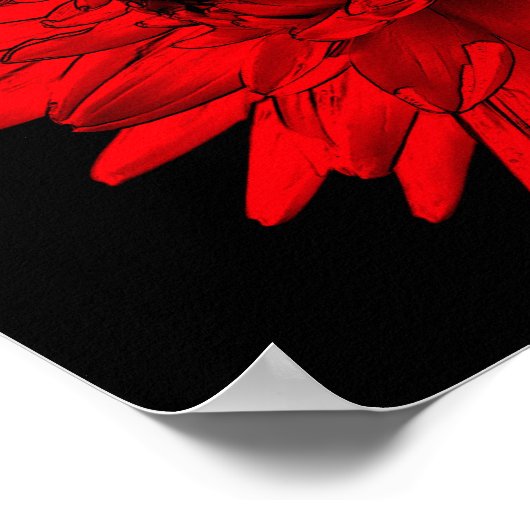 赤熱ダリア花 ポスター (角)