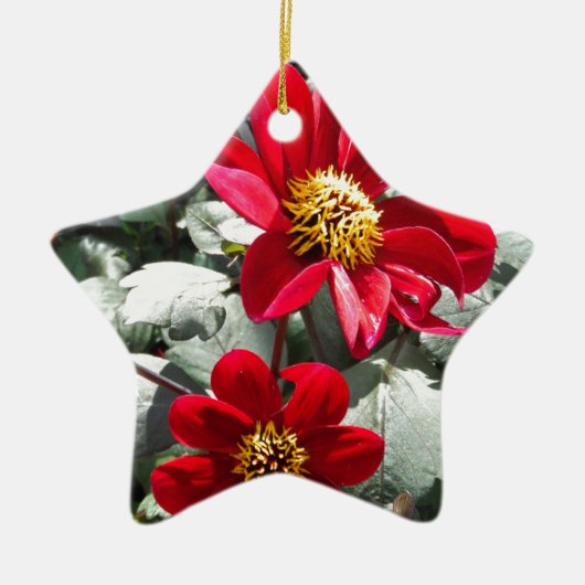 赤熱ピンクデイジー/デイジー花 セラミックオーナメント (正面)