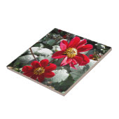 赤熱ピンクデイジー/デイジー花 タイル (側面)