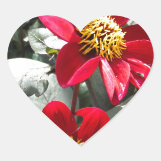 赤熱ピンクデイジー/デイジー花 ハートシール