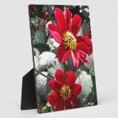 赤熱ピンクデイジー/デイジー花 フォトプラーク (側面)