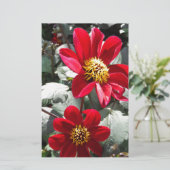 赤熱ピンクデイジー/デイジー花 便箋 (スタンド正面)