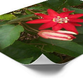 赤熱 ポスター (角)