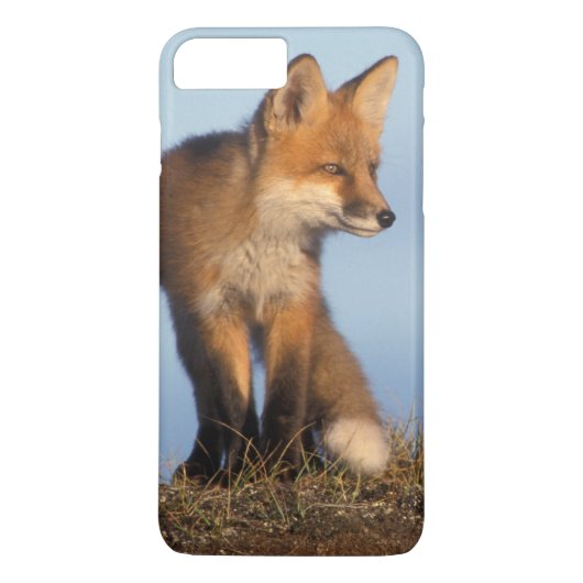 赤狐, キタアカギツネ Case-Mate iPhoneケース (裏面)